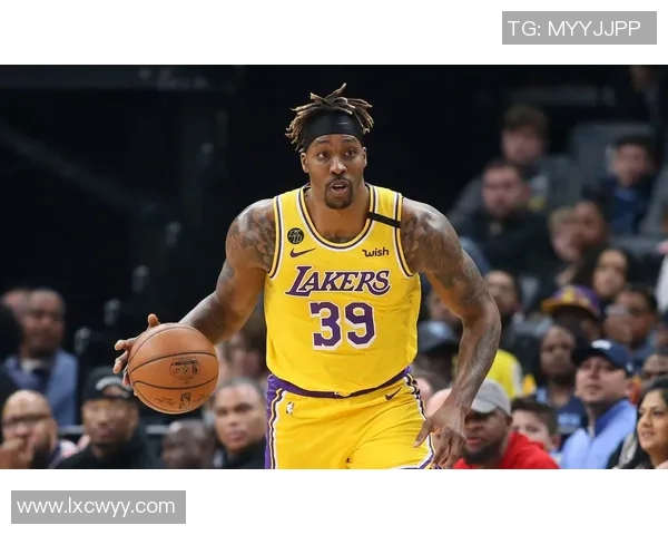 詹姆斯与霍华德对决数据分析工具全面解析与比较