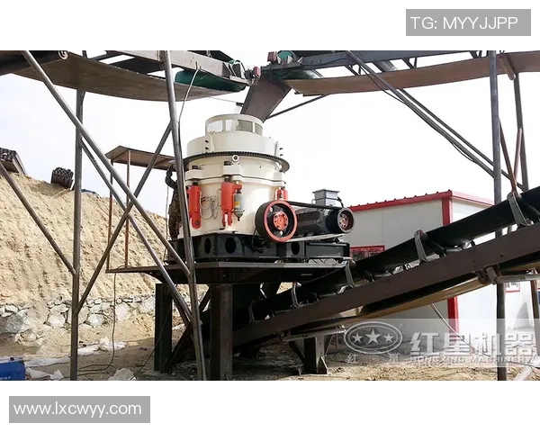 旧金山城与圣塔库鲁破碎机的巅峰对决谁能胜出揭晓精彩战局